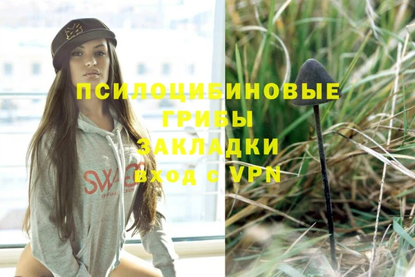 соль курить ск Алексеевка