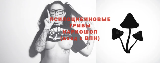 соль курить ск Алексеевка