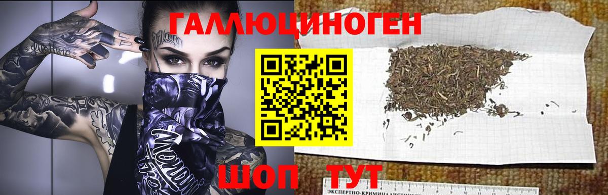 Галлюциногенные грибы GOLDEN TEACHER Ступино